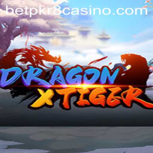 Discover DragonXTiger: Immerse Yourself in the Thrills of Casino Gaming